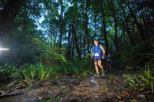 BIB: 
                            <button type="button" onclick="openModal(19241570)" class="btn btn-primary btn-sm float-right btn-popup" data-toggle="modal" data-target=".modal-high-quality">
                        <i class="fas fa-shopping-cart"></i> Add to Cart
                    </button>
                                            <button type="button" onclick="isThisMe(19241570, true)" class="btn btn-success btn-sm float-right btn-popup btn-isme hidden" data-toggle="tooltip" data-placement="bottom" title="นี่คือรูปของคุณใช่ไหม คลิกที่นี่เพื่อเอาเข้าอัลบั้ม">
                        <i class="fas fa-plus"></i> Add to album
                    </button>
                    <button type="button" onclick="isThisMe(19241570, false)" class="btn btn-warning btn-sm float-right btn-popup btn-isnotme hidden">
                        <i class="fas fa-ban"></i> Remove from album
                    </button>